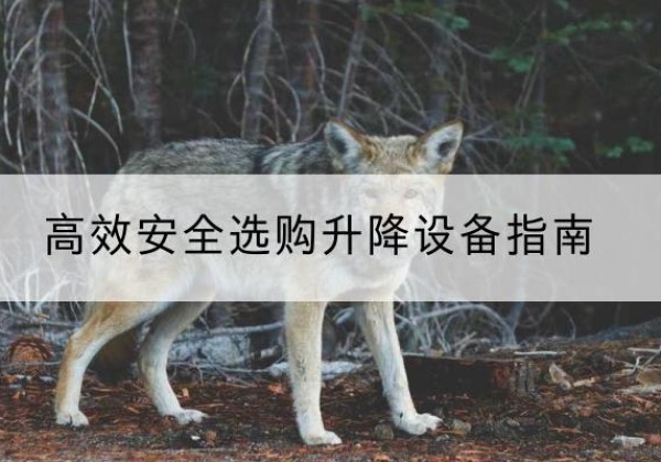 鄢陵升降货梯厂家推荐-*安全选购升降设备指南