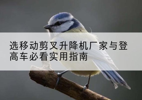 鄢陵电动升降机厂家-选移动剪叉升降机厂家与登高车必看实用指南