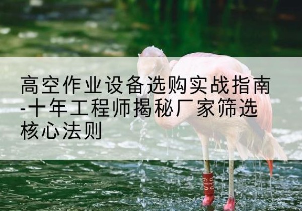 鄢陵剪叉式升降机厂家-高空作业设备选购实战指南-十年工程师揭秘厂家筛选核心法则